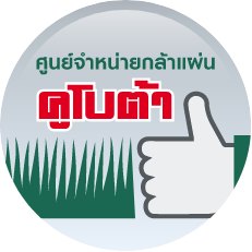 ศูนย์จำหน่าย<br/>กล้าแผ่นคูโบต้า