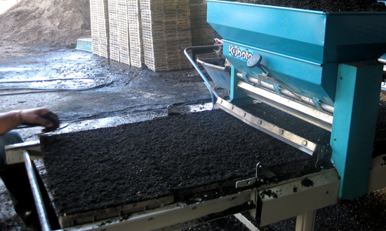 เครื่องโรยกล้ากึ่งอัตโนมัติ SR-K800THL