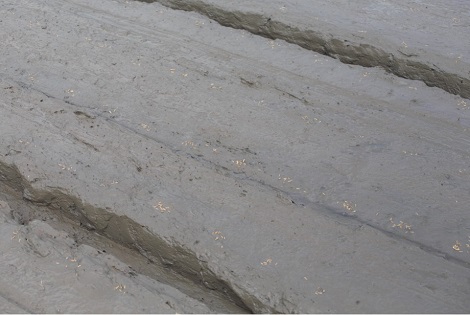 เครื่องหยอดข้าว DS10 พร้อมชุดฉีดพ่นยา SPK