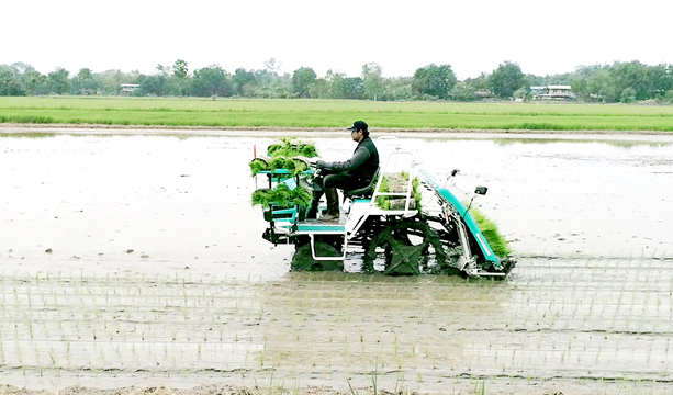 รถดำนา SPV-6CMD