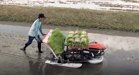 รถดำนาเดินตาม 4 แถว KW4