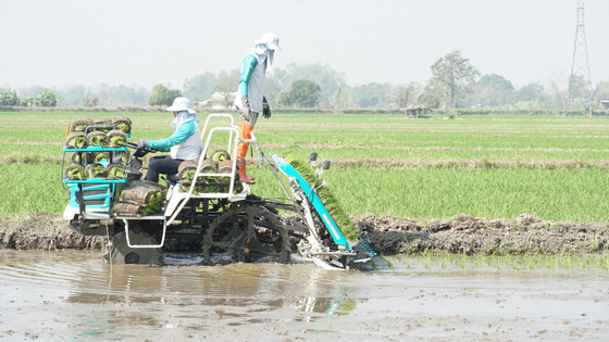 รถดำนานั่งขับ 8 แถว SPV8