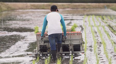 รถดำนาเดินตาม 4 แถว KW4