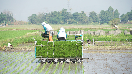 รถดำนานั่งขับ 8 แถว SPV8