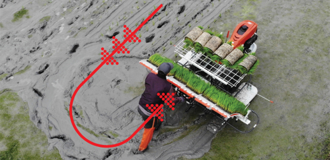 รถดำนาเดินตาม 6 แถว KW6-M