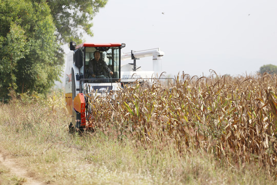 ชุดอุปกรณ์เก็บเกี่ยวข้าวโพด ตราช้าง CK105X