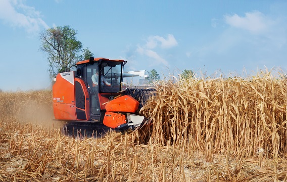 ชุดอุปกรณ์เก็บเกี่ยวข้าวโพด ตราช้าง CK93/93G