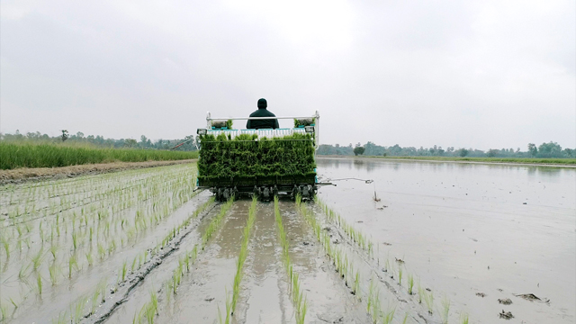 รถดำนา SPV-6CMD