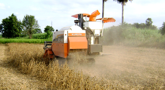 ชุดอุปกรณ์เก็บเกี่ยวถั่วเหลืองและถั่วเขียว ตราช้าง BK70 และ BK70G