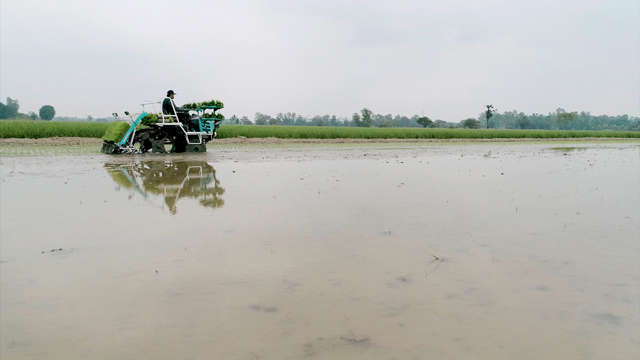 รถดำนา SPV-6CMD