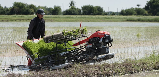 รถดำนาเดินตาม 6 แถว KW6-M