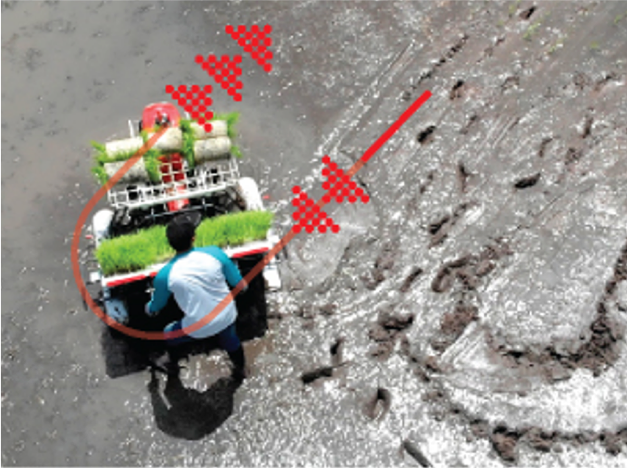 รถดำนาเดินตาม 4 แถว KW4