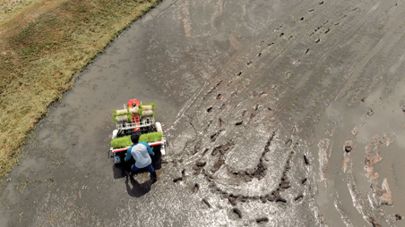 รถดำนาเดินตาม 4 แถว KW4