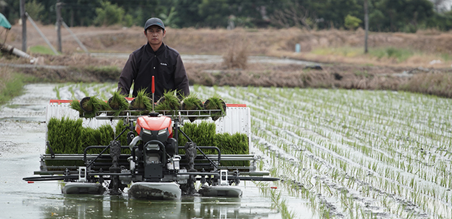 รถดำนาเดินตาม 6 แถว KW6-M