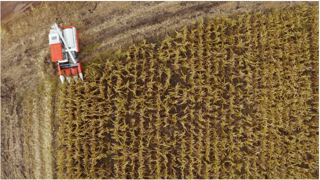 ชุดหัวบิดฝักข้าวโพด คูโบต้า CH-70