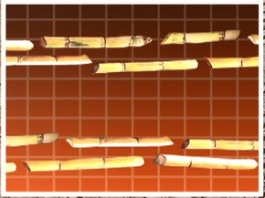 เครื่องปลูกอ้อยตราช้าง รุ่น SP621