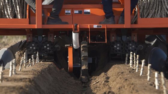 เครื่องปลูกมันสำปะหลัง CP200F