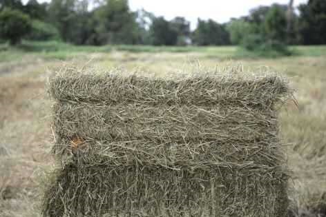 เครื่องอัดฟาง HB135