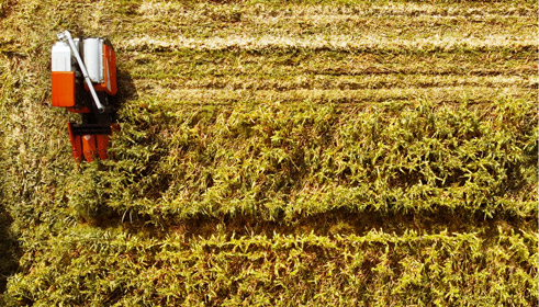 ชุดหัวบิดฝักข้าวโพด คูโบต้า CH-105