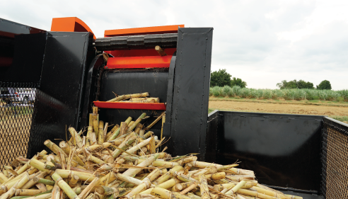 เครื่องลำเลียงท่อนพันธุ์ ตราช้าง รุ่น LD100