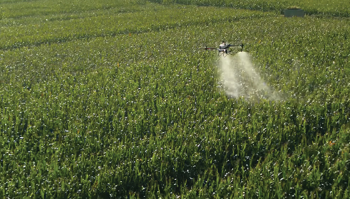 ระบบหว่าปุ๋ยใหม่