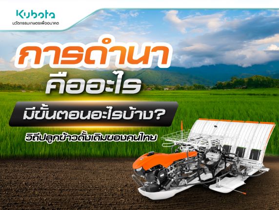 การดำนา คืออะไร มีขั้นตอนอะไรบ้าง ทำไมจึงสำคัญ <BR> กับชีวิตเกษตกรไทย