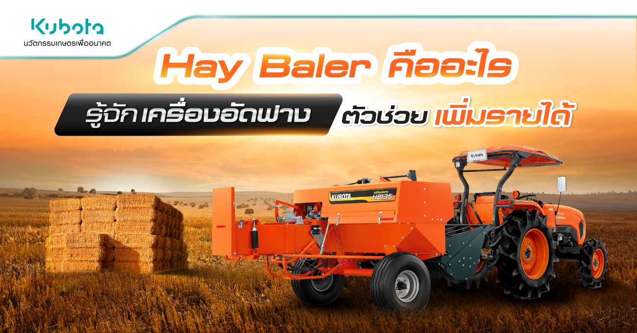 Hay Baler คืออะไร รู้จักเครื่องอัดฟาง ตัวช่วยเพิ่มรายได้