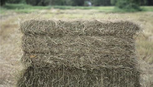 เครื่องอัดฟางรุ่น HB136