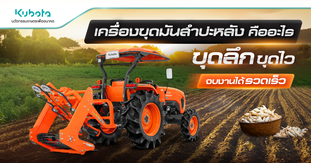 เครื่องขุดมันสำปะหลัง คืออะไร ขุดลึก ขุดไว จบงานได้รวดเร็ว