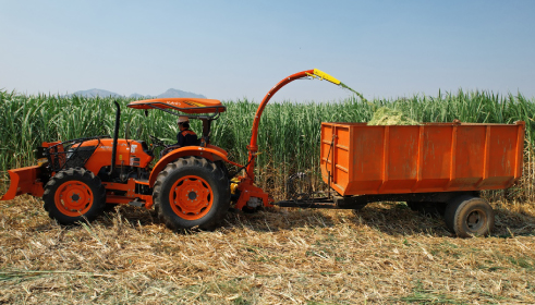 เครื่องสับหญ้าเนเปียและข้าวโพด S-HCH65