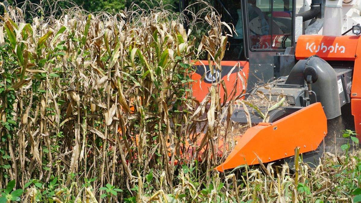 ชุดหัวบิดฝักข้าวโพดคูโบต้า CH-108