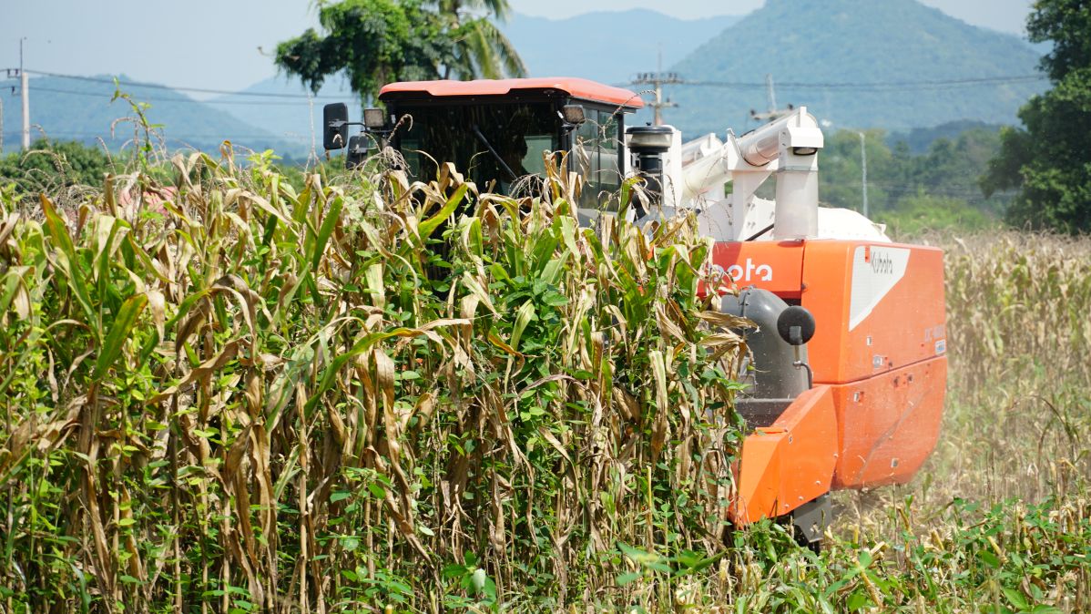 ชุดหัวบิดฝักข้าวโพดคูโบต้า CH-108