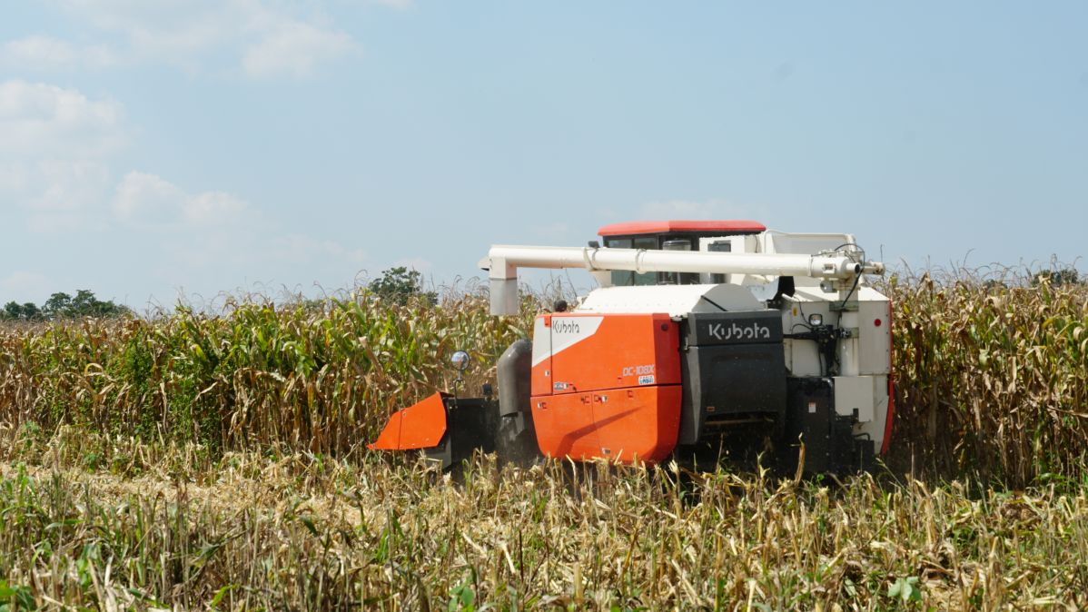 ชุดหัวบิดฝักข้าวโพดคูโบต้า CH-108