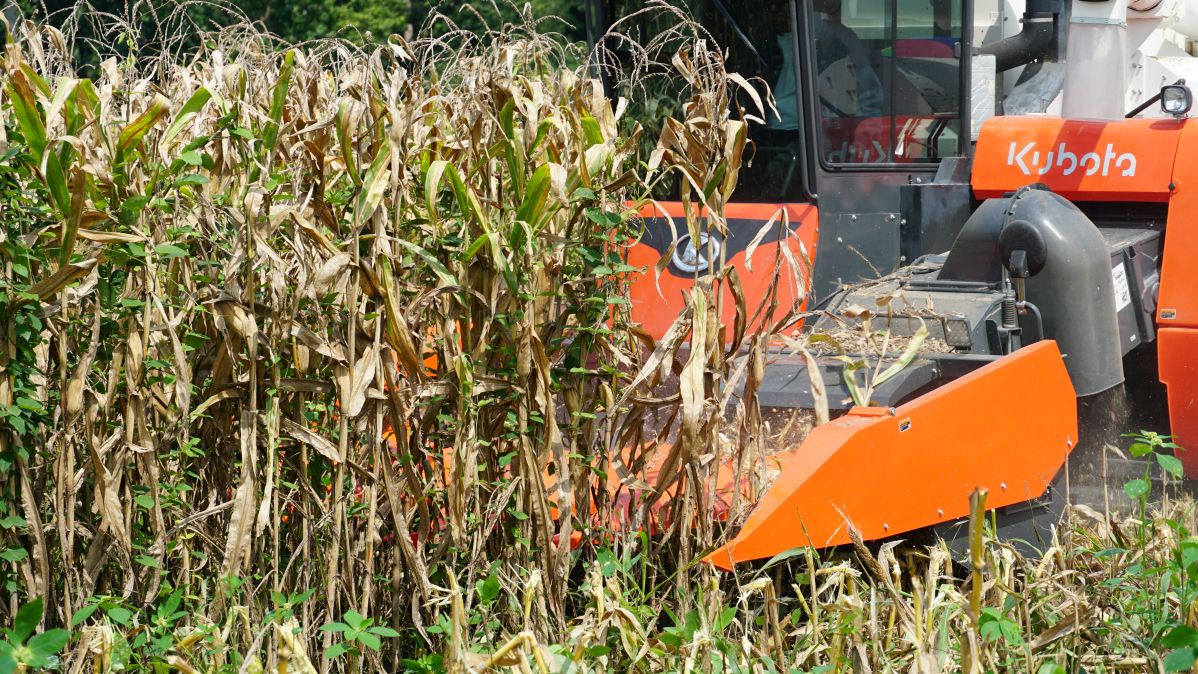 ชุดหัวบิดฝักข้าวโพดคูโบต้า CH-120