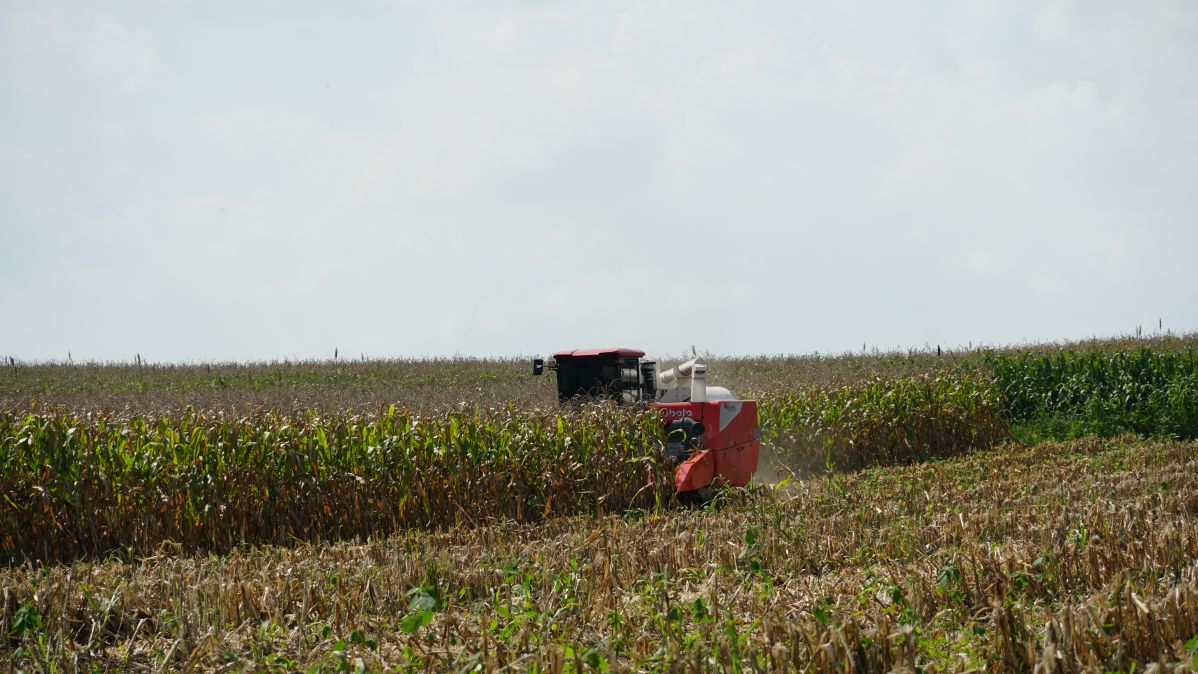 ชุดหัวบิดฝักข้าวโพดคูโบต้า CH-120